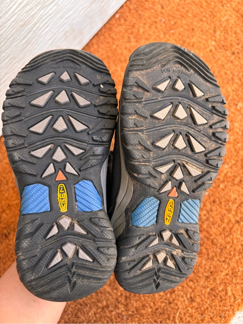 Keen Targhee Low Little Kid Hiking Shoes - Picture 6 of 7